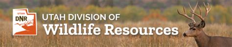Utah Division of Wildlife Resources Online Permit Application.